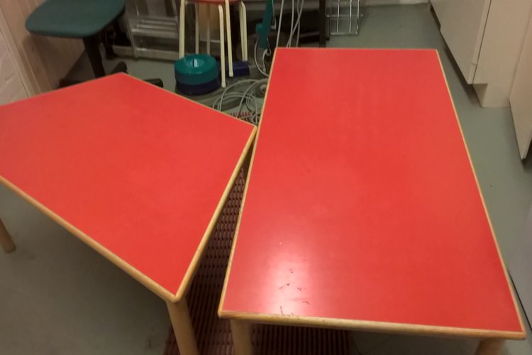 Peräkonttikirppis Parikkalassa Peräkonttikirppis Parikkalassa