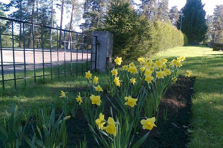 Hautausmaan kuva